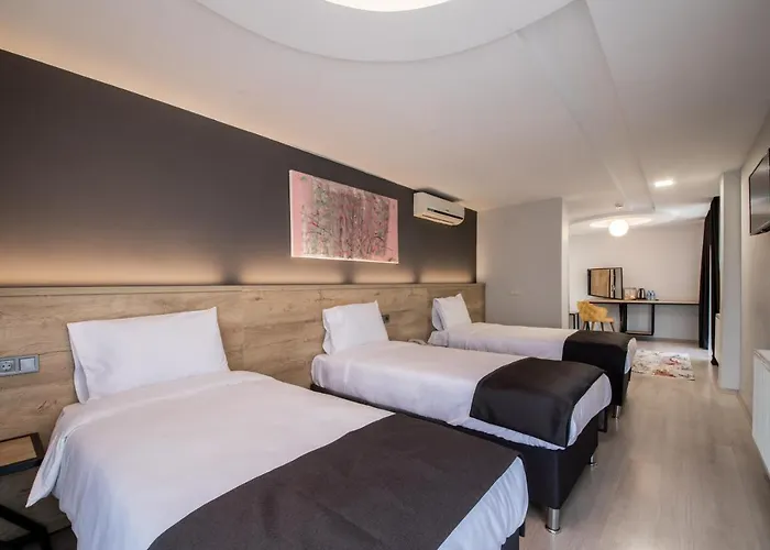 Hotel Adresin Edirne